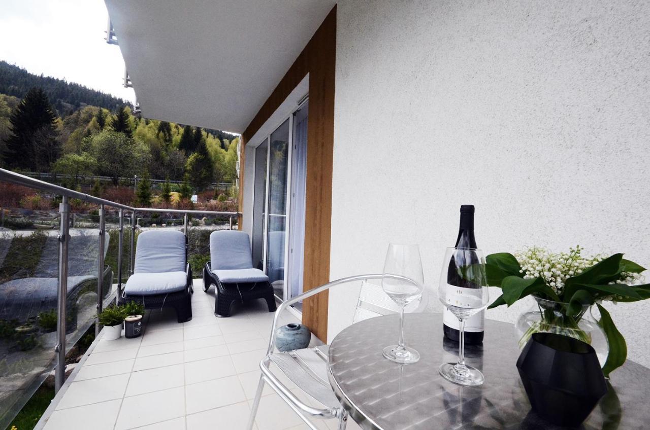 Apartamenty Biala Sowa Czarna Gora 시에나 외부 사진